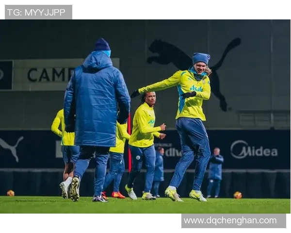 2017年曼城与埃弗顿精彩对决回放全程回顾与分析